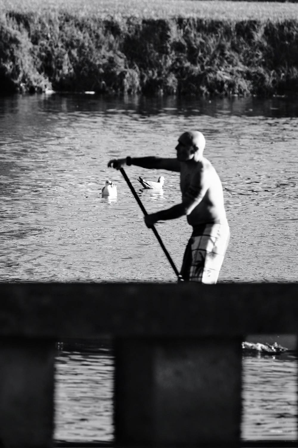 Fragments of Vila do Conde