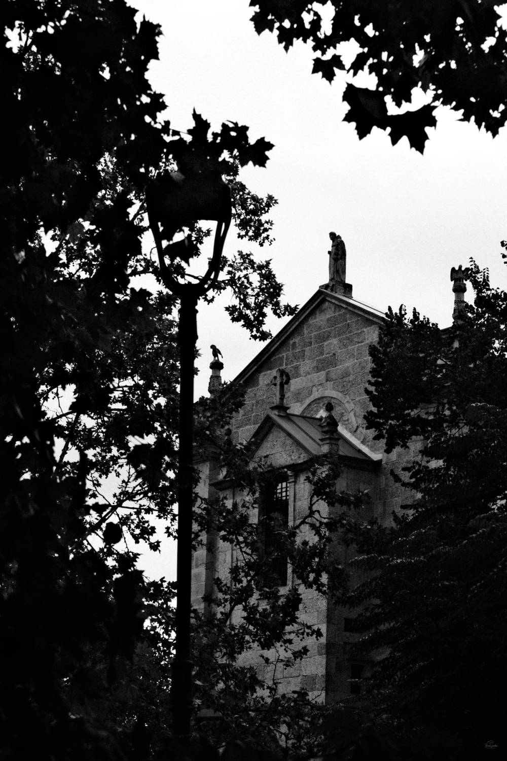 Fragments of Amarante