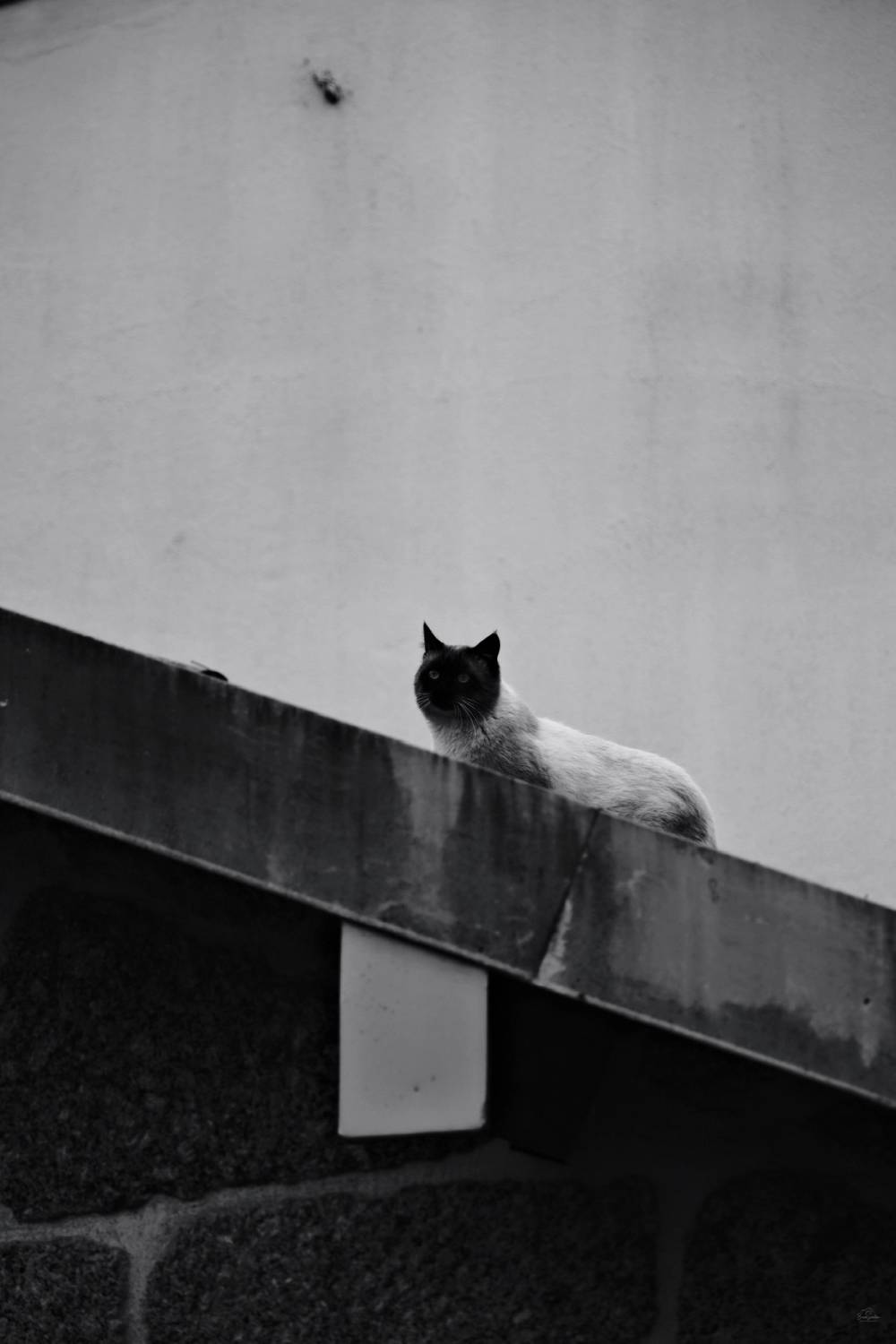 Guimarães Fragments