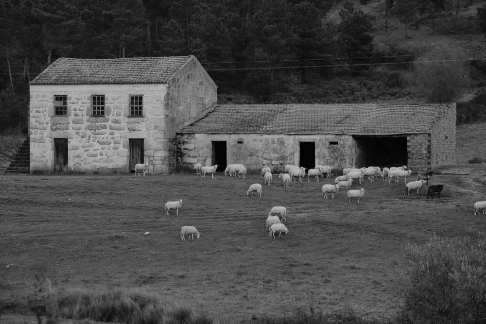Beira Alta Fragments