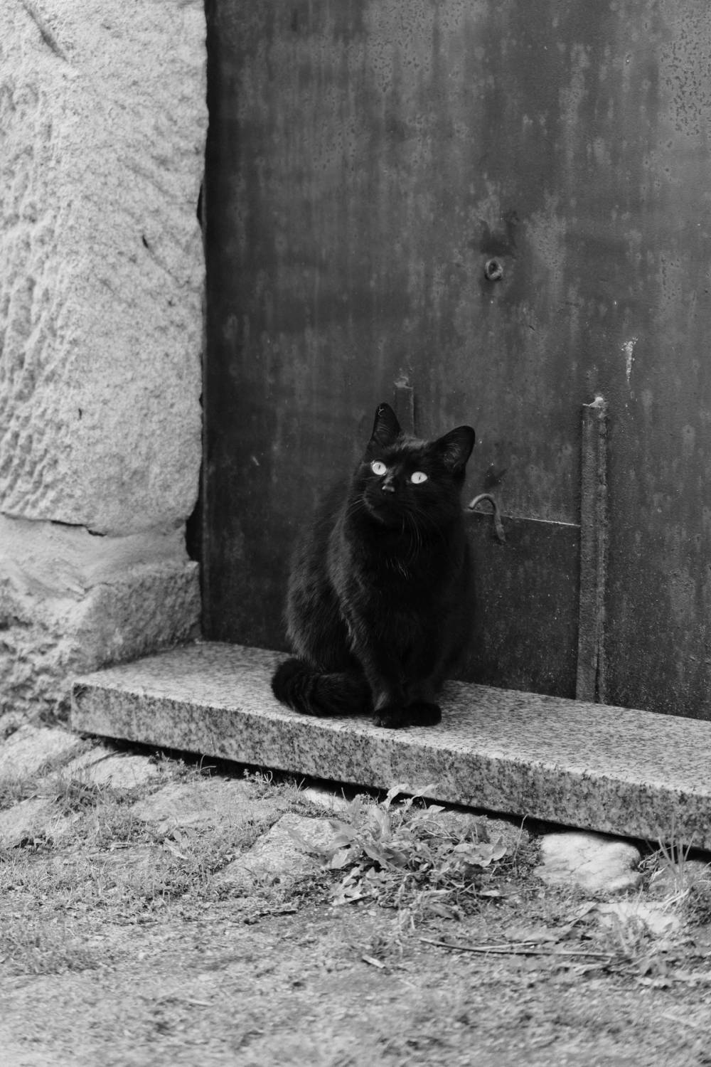 Beira Alta Fragments