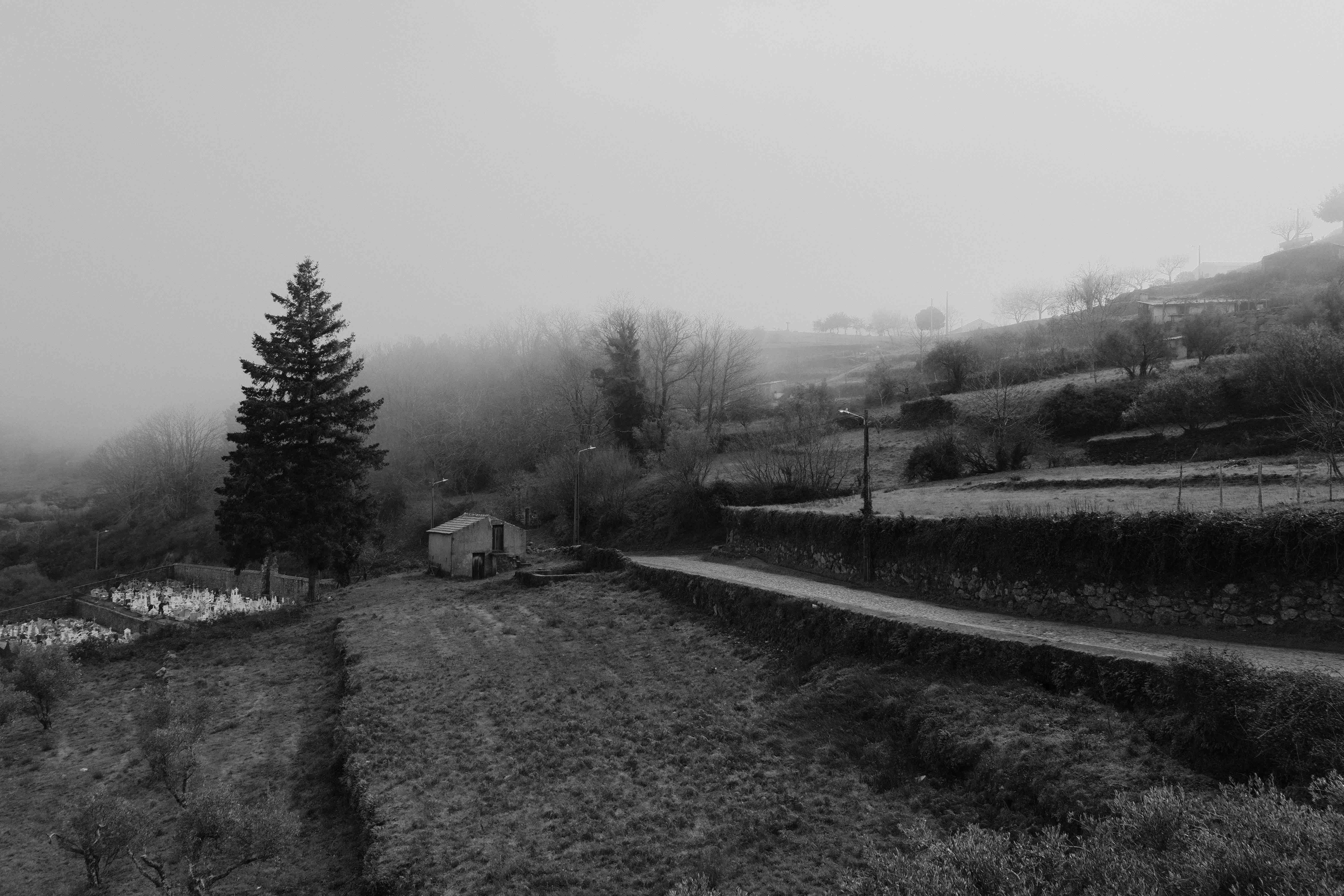 Beira Alta Fragments