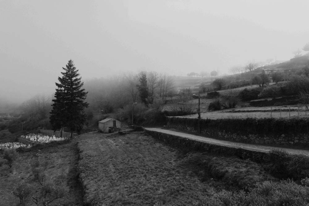 Beira Alta Fragments