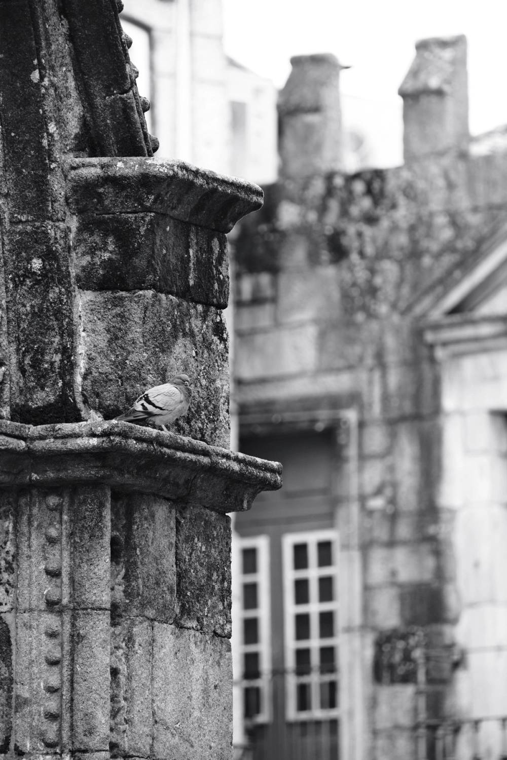 Guimarães Fragments