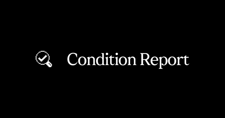 Magnifying glass with a checkmark beside the text “Condition Report”.