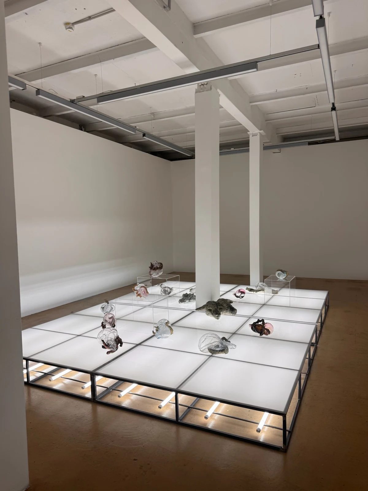 Glass and organic sculptural forms arranged on an illuminated platform in Karlīna Mežecka’s Stare Up At Me exhibition at Kim? Contemporary Art Centre.