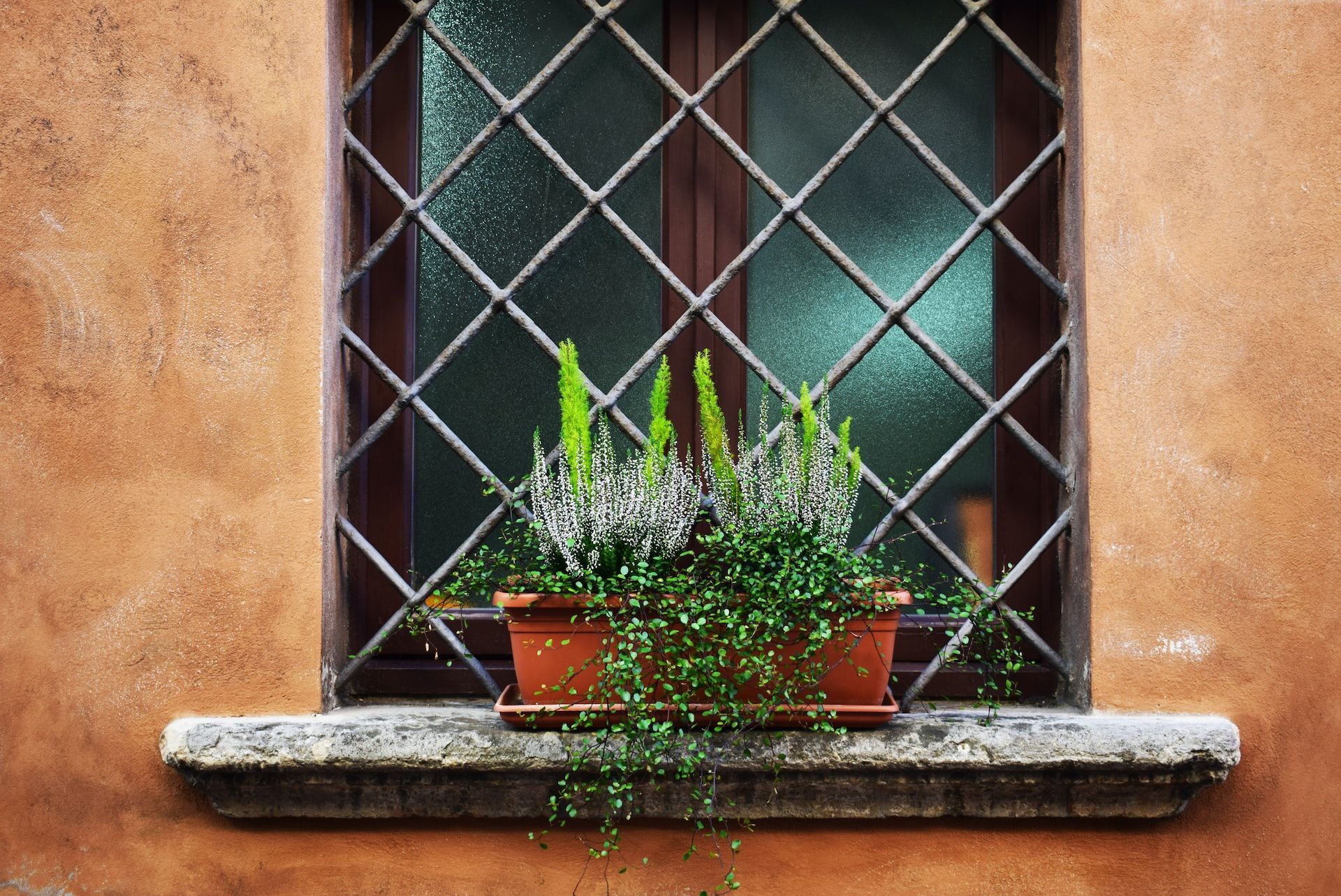 How to create a window box garden for your remote work space.