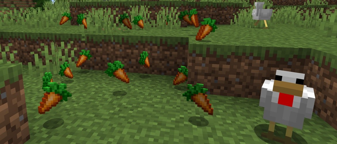 A Minecraft carrot crop growing in irrigated farmland.