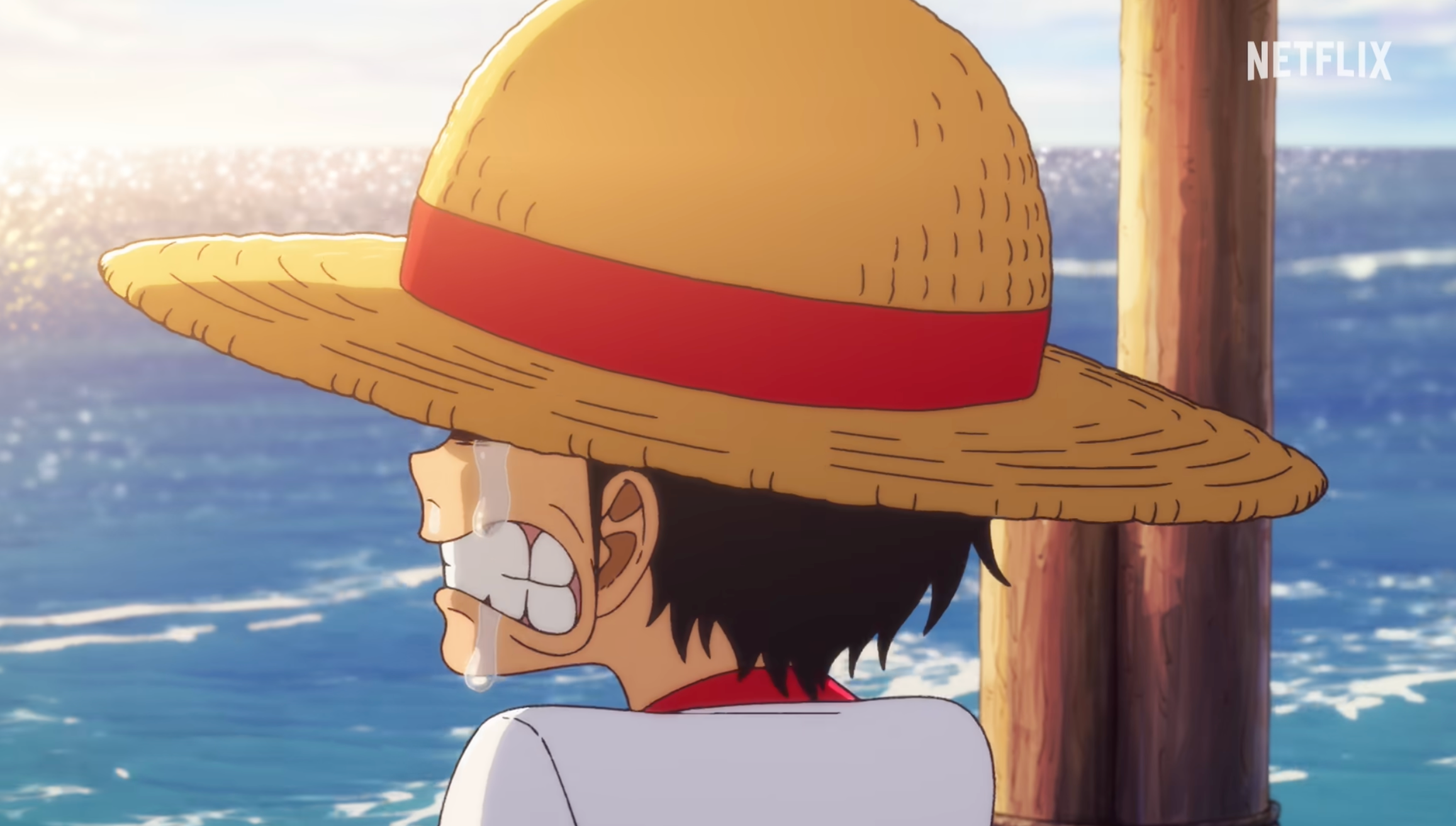THE ONE PIECE - NETFLIX