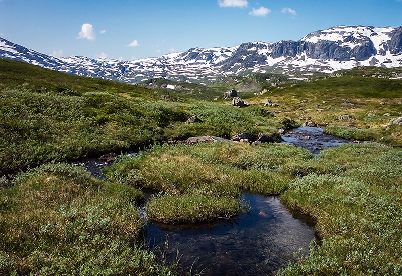 Norsk snaufjell (colourbox.com)