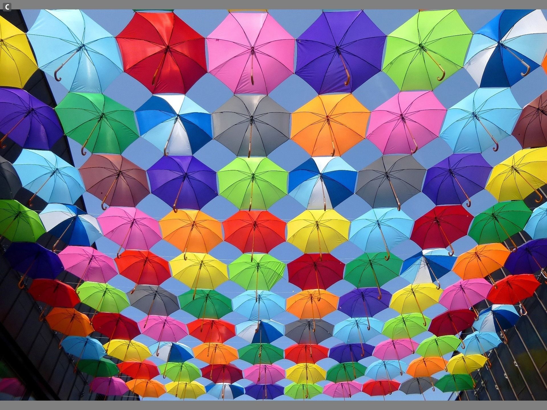 Har du normalt fargesyn vil du se alle mulig ulike farger på paraplyene her.