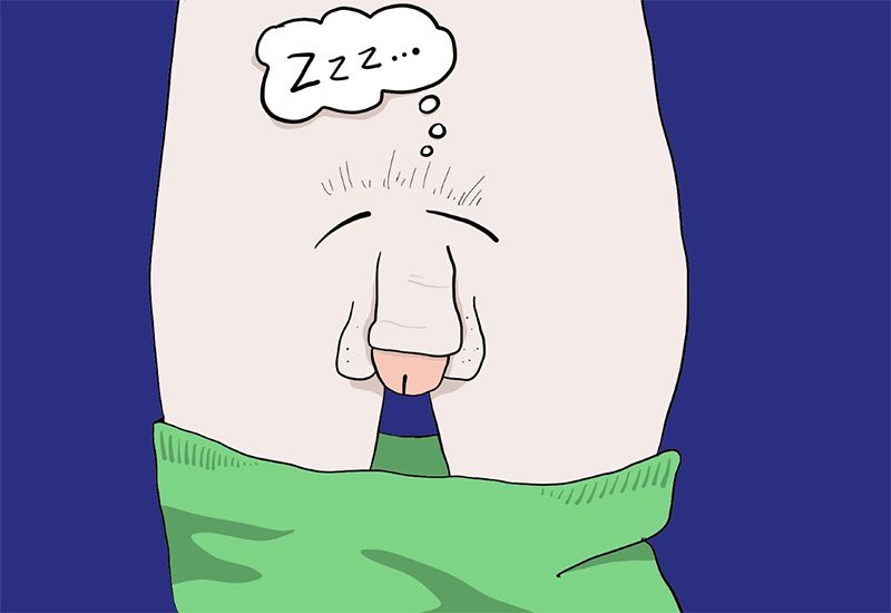 Tegning av penis som sover (Illustrasjon. ung.no)