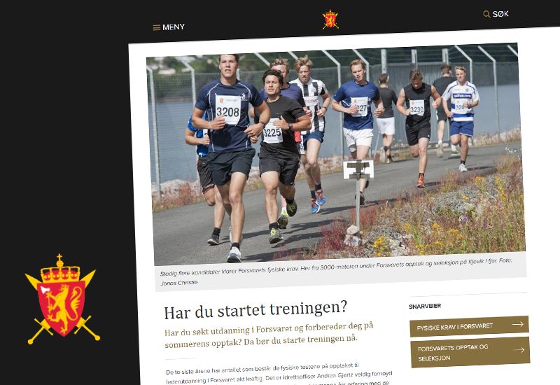 Førsteganngstjeneste (skjermdump fra forsvaret.no)