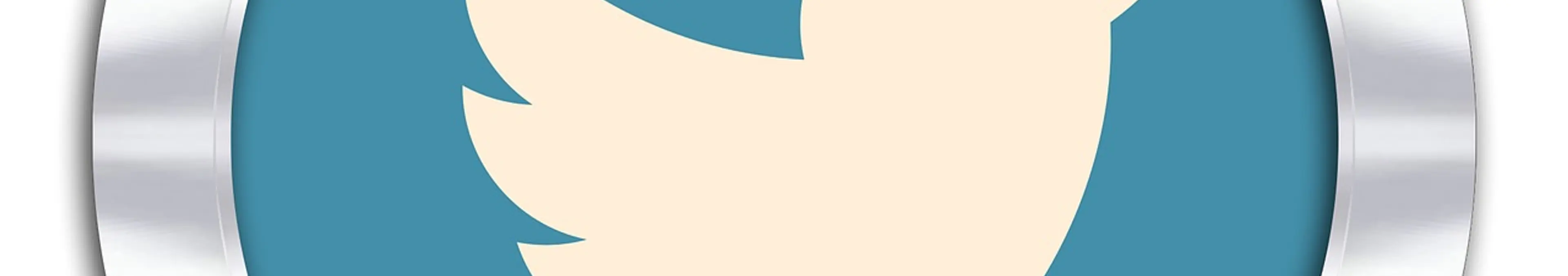 【失敗しない】人脈ゼロでもTwitterフォロワーを着実に増やす方法の王道