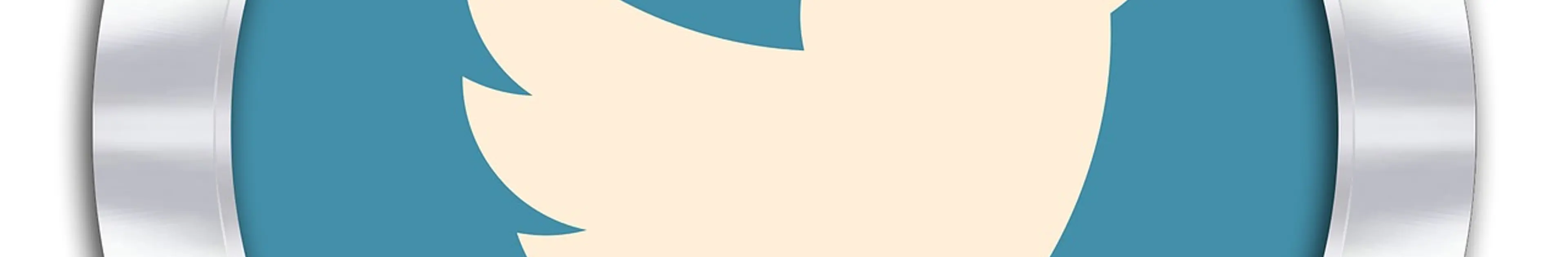 【失敗しない】人脈ゼロでもTwitterフォロワーを着実に増やす方法の王道