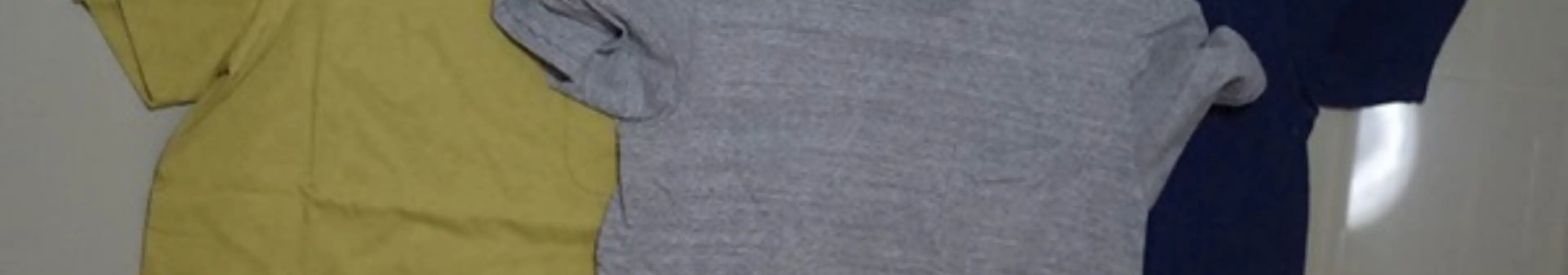 【国産Tシャツ】BARNS(バーンズ)を着心地やシルエットをマジ実感した俺