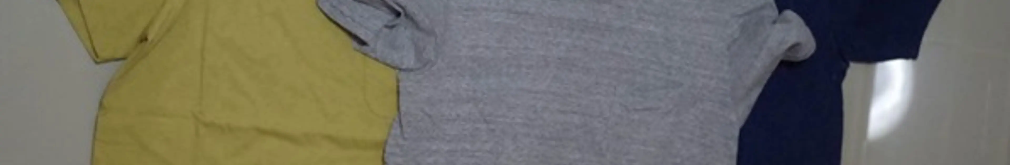 【国産Tシャツ】BARNS(バーンズ)を着心地やシルエットをマジ実感した俺