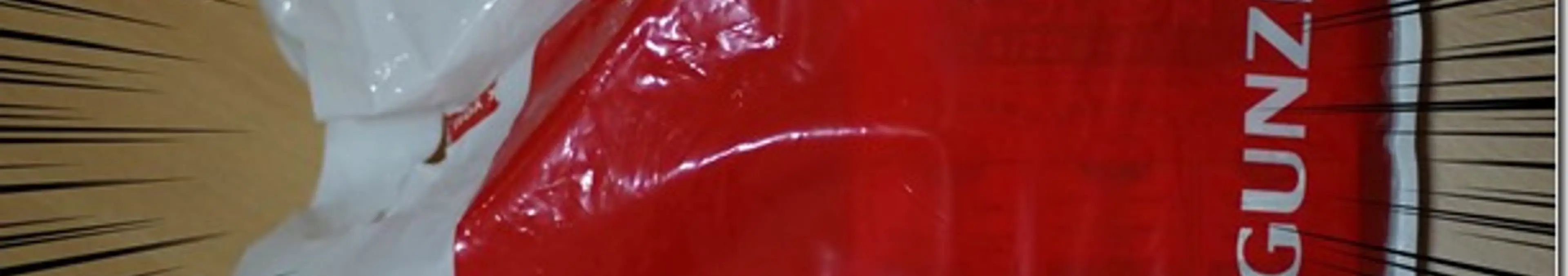 グンゼのボディワイルドとYGにユニクロのボクサーパンツから履き替え度肝抜かれる俺