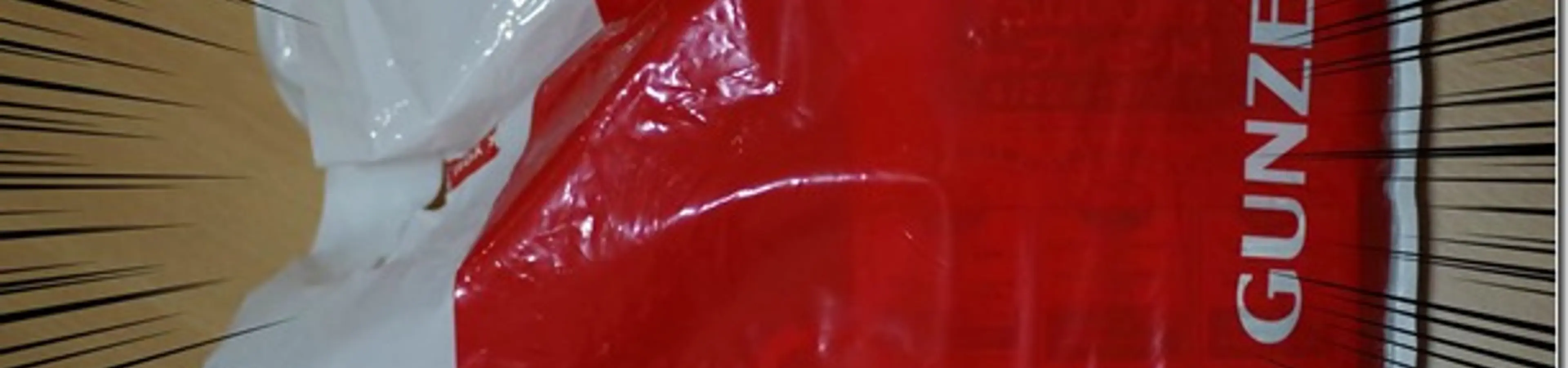 グンゼのボディワイルドとYGにユニクロのボクサーパンツから履き替え度肝抜かれる俺