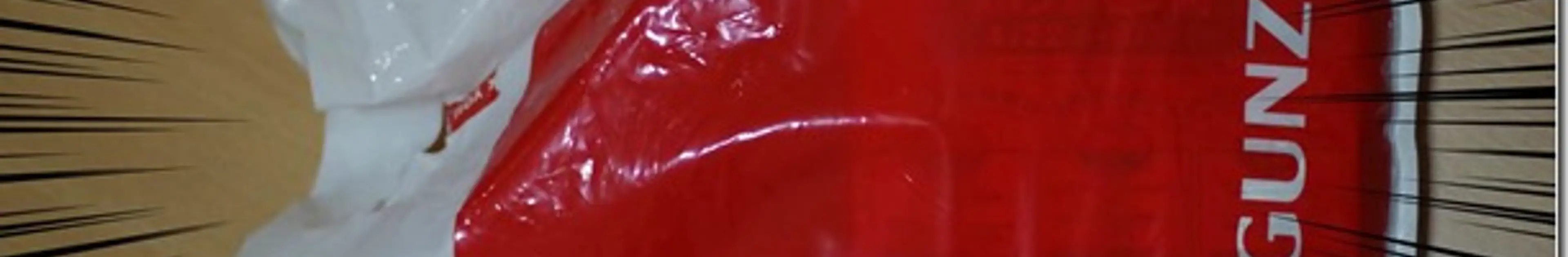 グンゼのボディワイルドとYGにユニクロのボクサーパンツから履き替え度肝抜かれる俺