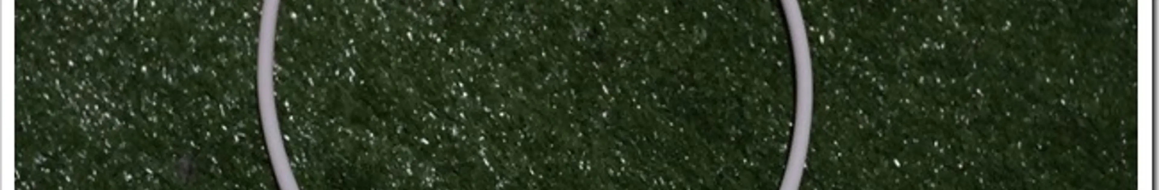 肩こり緩和にマグネループからコラントッテに切り替えてみた俺