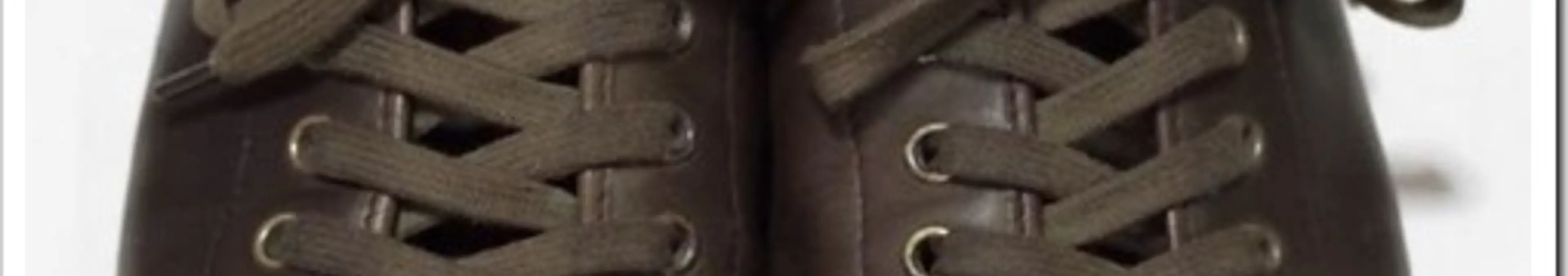 スプリングコートの本革スニーカーの”2年間”使い込んだレビューとお手入れを馬油ソンバーユでした俺