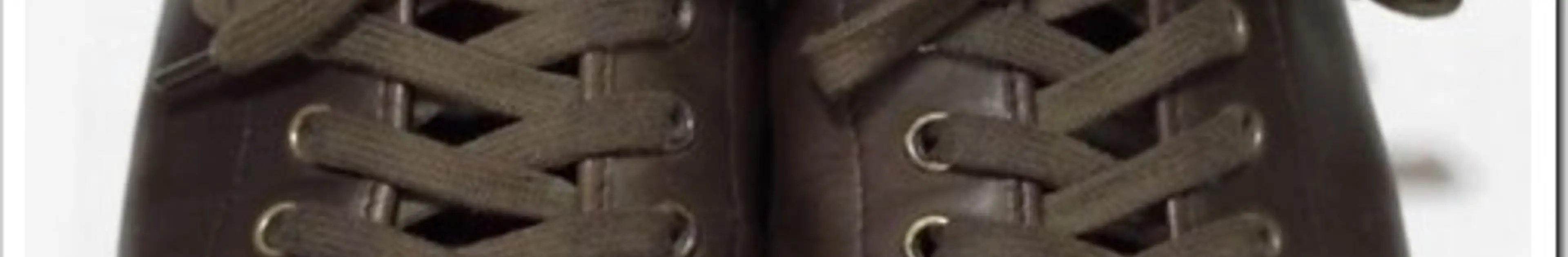 スプリングコートの本革スニーカーの”2年間”使い込んだレビューとお手入れを馬油ソンバーユでした俺