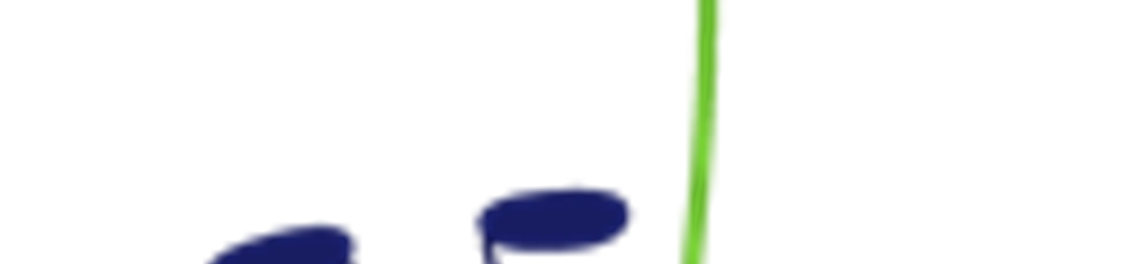 パソコンに蟻(アリ)がたくさん居る件