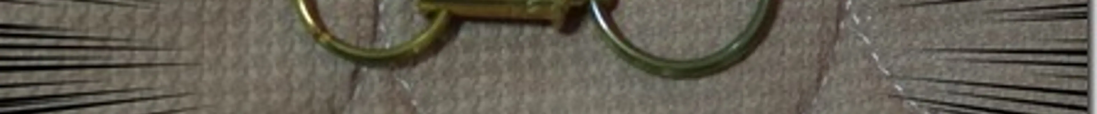 キーリリース"取り外せる"キーホルダーがめちゃ便利でおすすめな俺