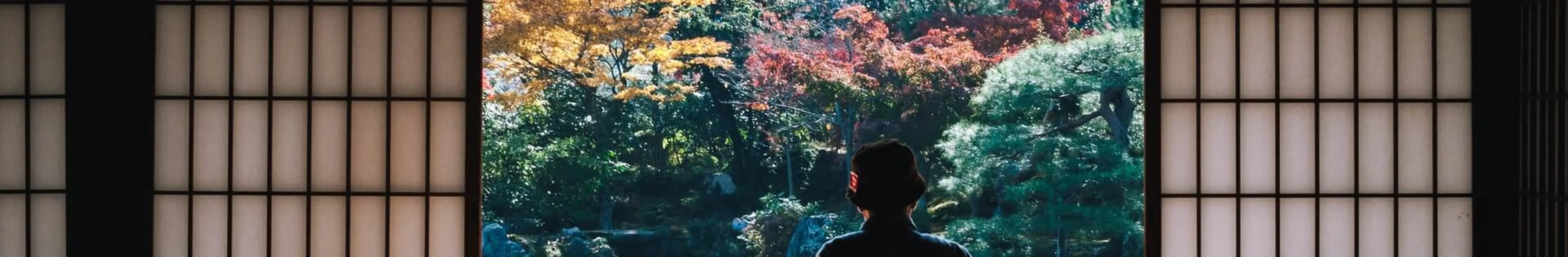 高齢者優位の日本で今後若い世代が起こすことができる革命