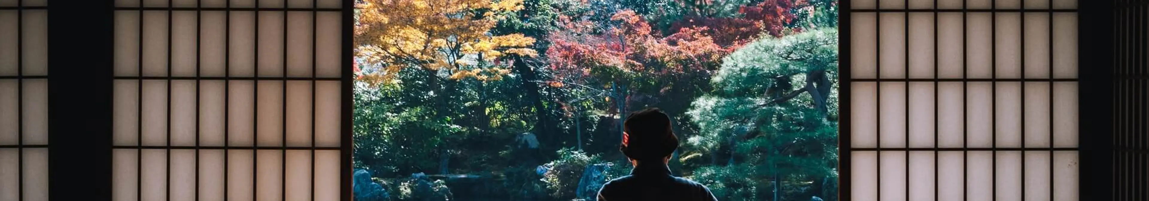 高齢者優位の日本で今後若い世代が起こすことができる革命