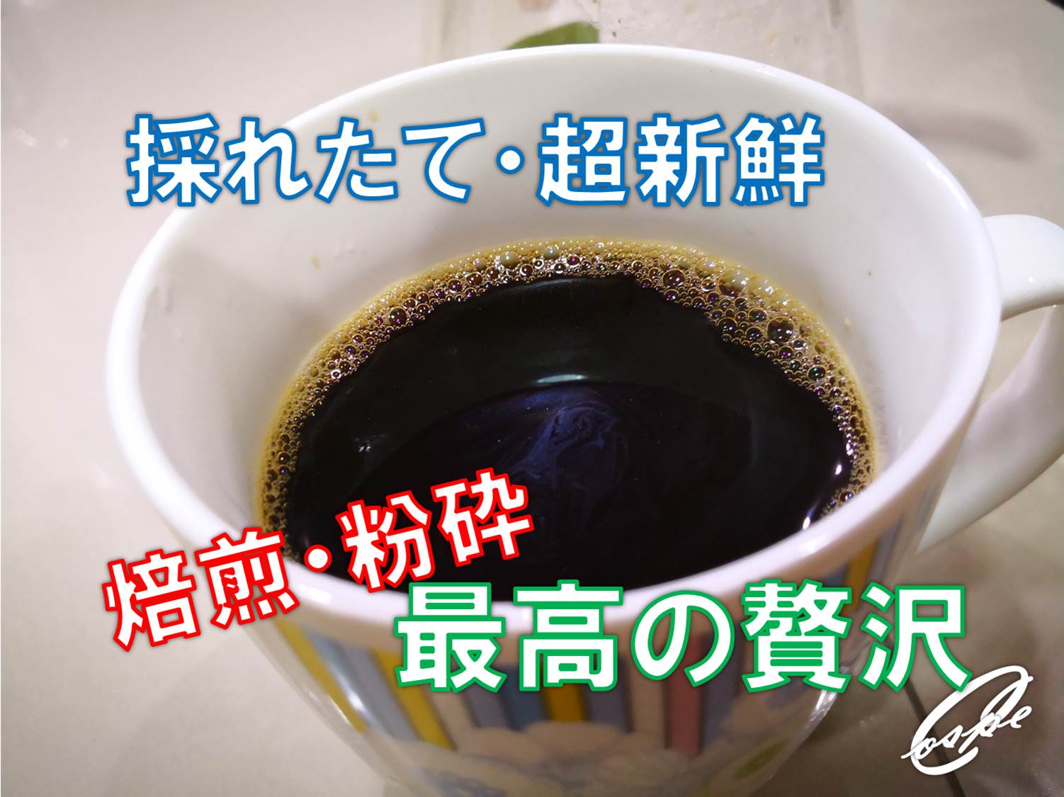 【タイ王国】採れたて超新鮮なコーヒー生豆を自分で焙煎して飲む