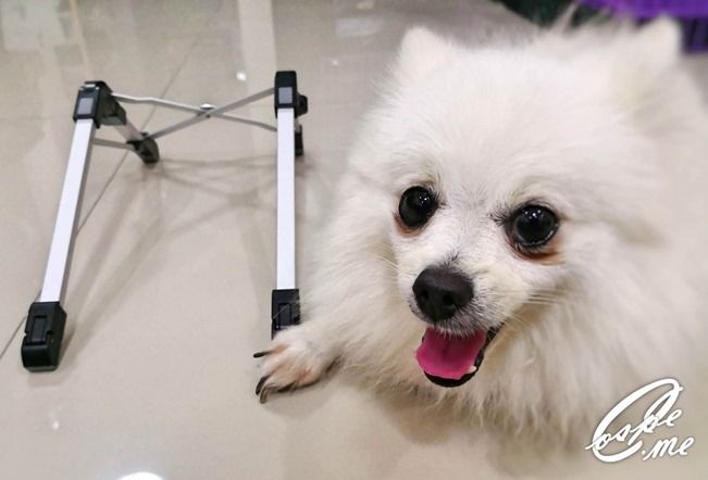 ノートパソコンPCスタンドで肩こり・ストレートネックを予防・緩和・改善