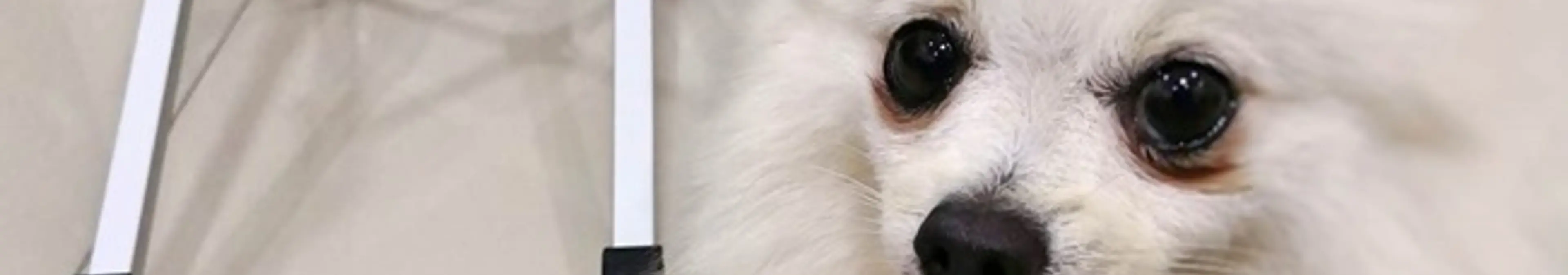 ノートパソコンPCスタンドで肩こり・ストレートネックを予防・緩和・改善