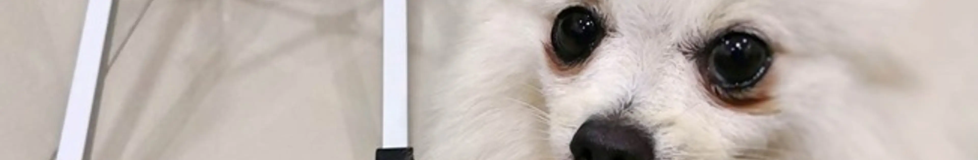 ノートパソコンPCスタンドで肩こり・ストレートネックを予防・緩和・改善