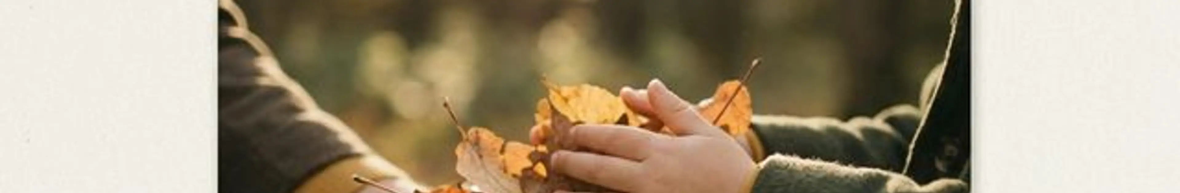 Free Kids Activities