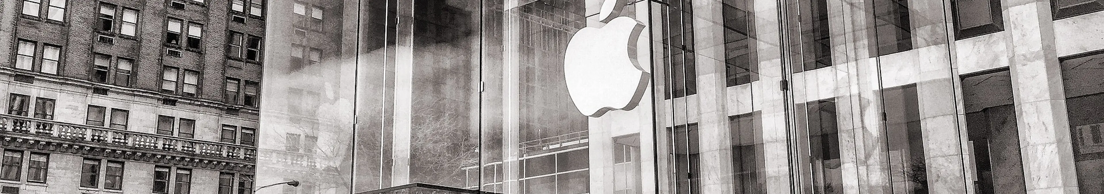 俺がiPhone12 mini(5.4インチ)を買うと決めた理由