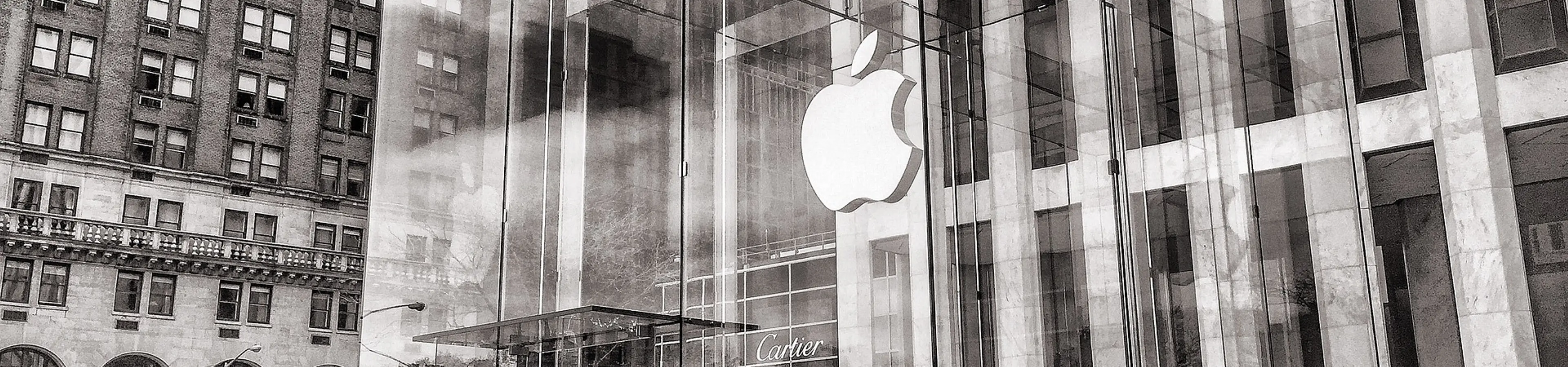 俺がiPhone12 mini(5.4インチ)を買うと決めた理由