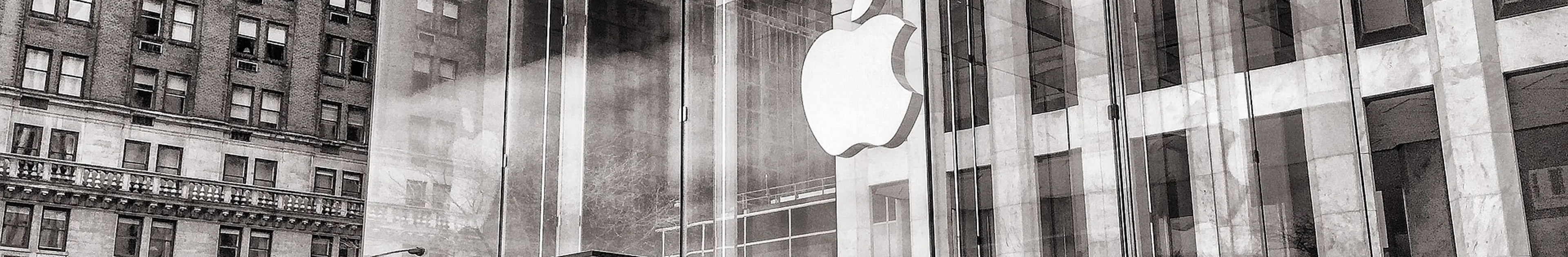 俺がiPhone12 mini(5.4インチ)を買うと決めた理由