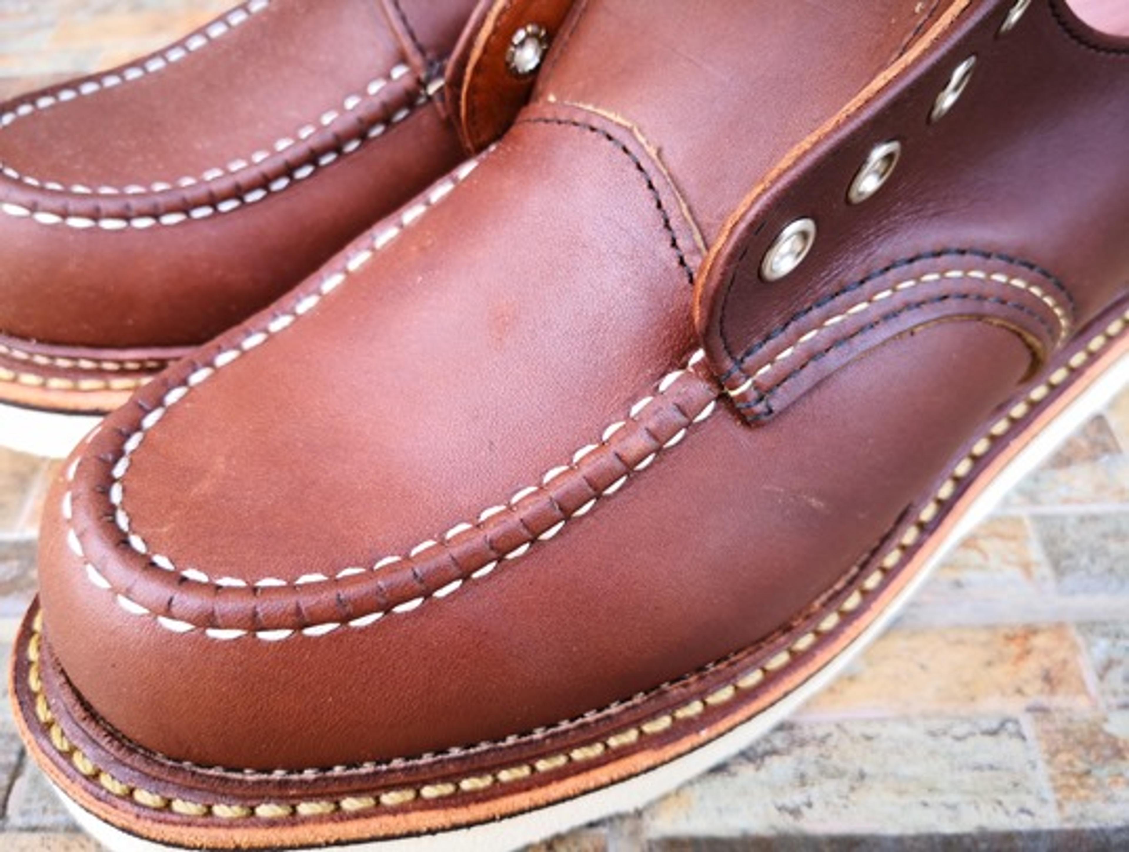 ブラシ後アップ