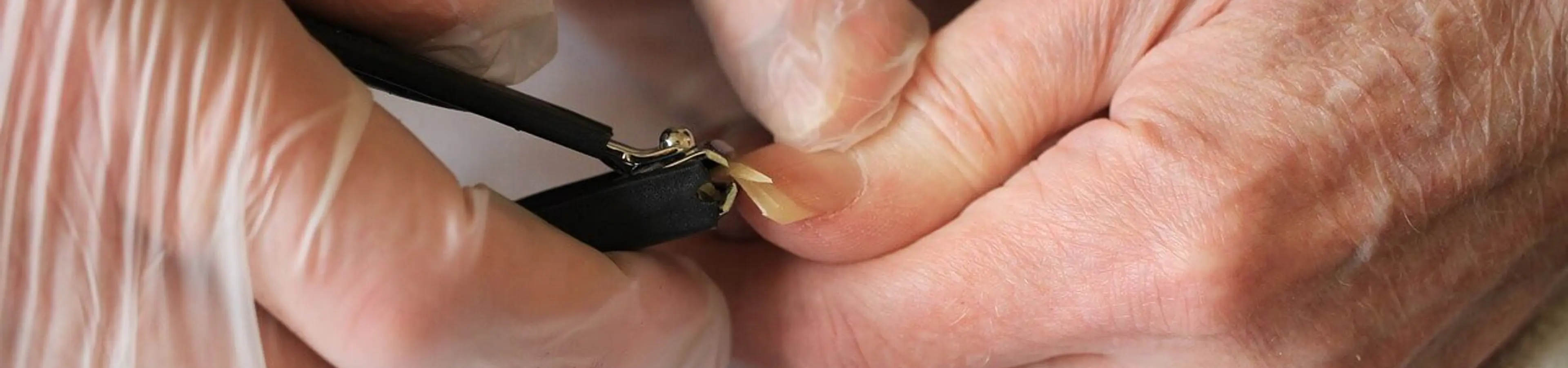 「歳をとると爪が早く伸びる」という迷信を科学的に解説