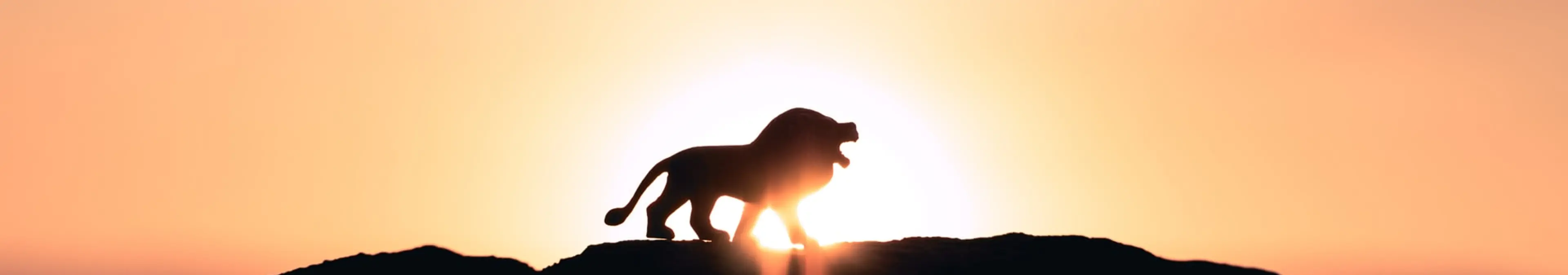 革命的ブラウザBraveの特徴:超高速・次世代・高セキュリティ