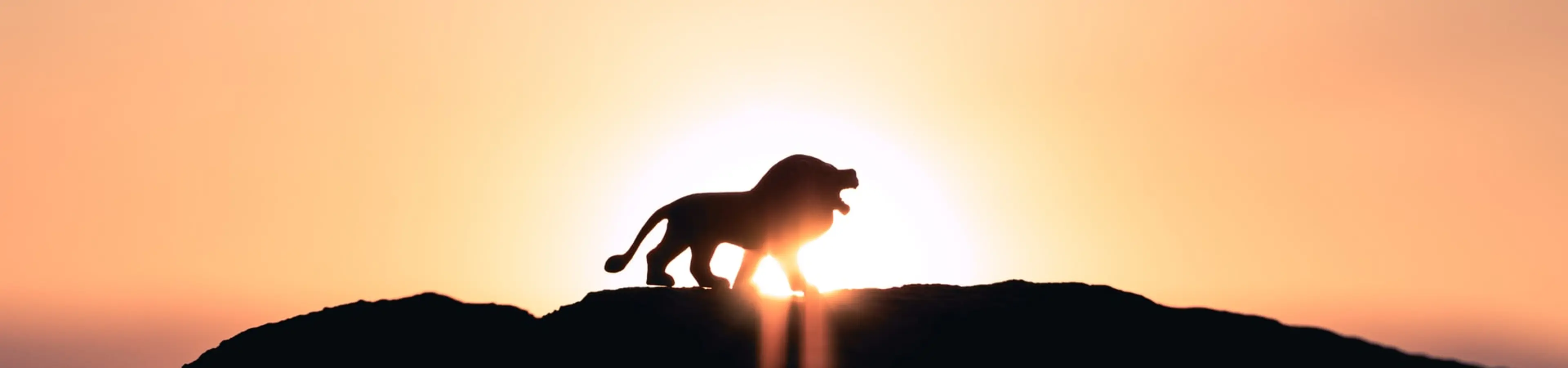 革命的ブラウザBraveの特徴:超高速・次世代・高セキュリティ