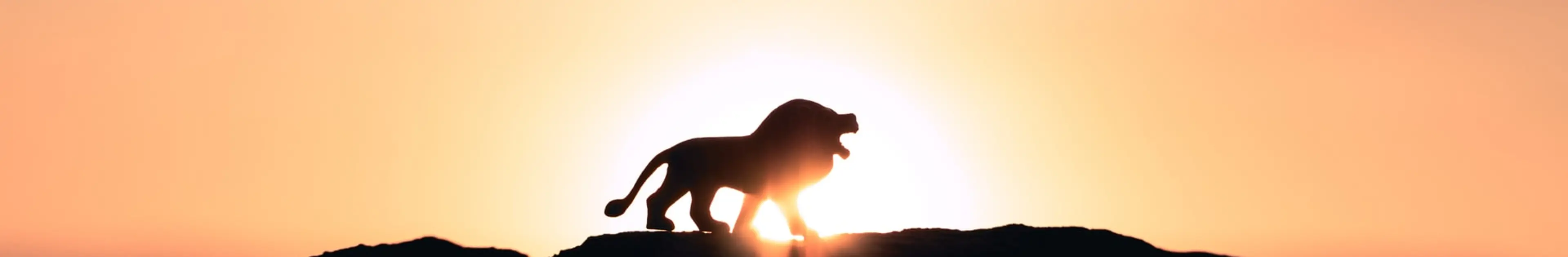 革命的ブラウザBraveの特徴:超高速・次世代・高セキュリティ