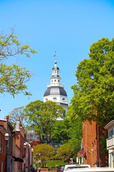 Anne Arundel County or local health department
