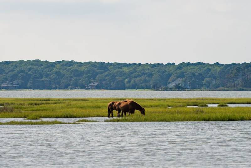 Crisfield or Pocomoke River in Somerset County, Maryland