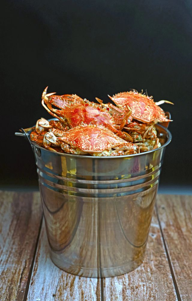 Freshly steamed crabs in a bucket on a rustic wood table