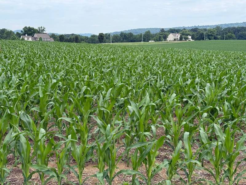 Westminster or Piedmont farmland in Carroll County, Maryland