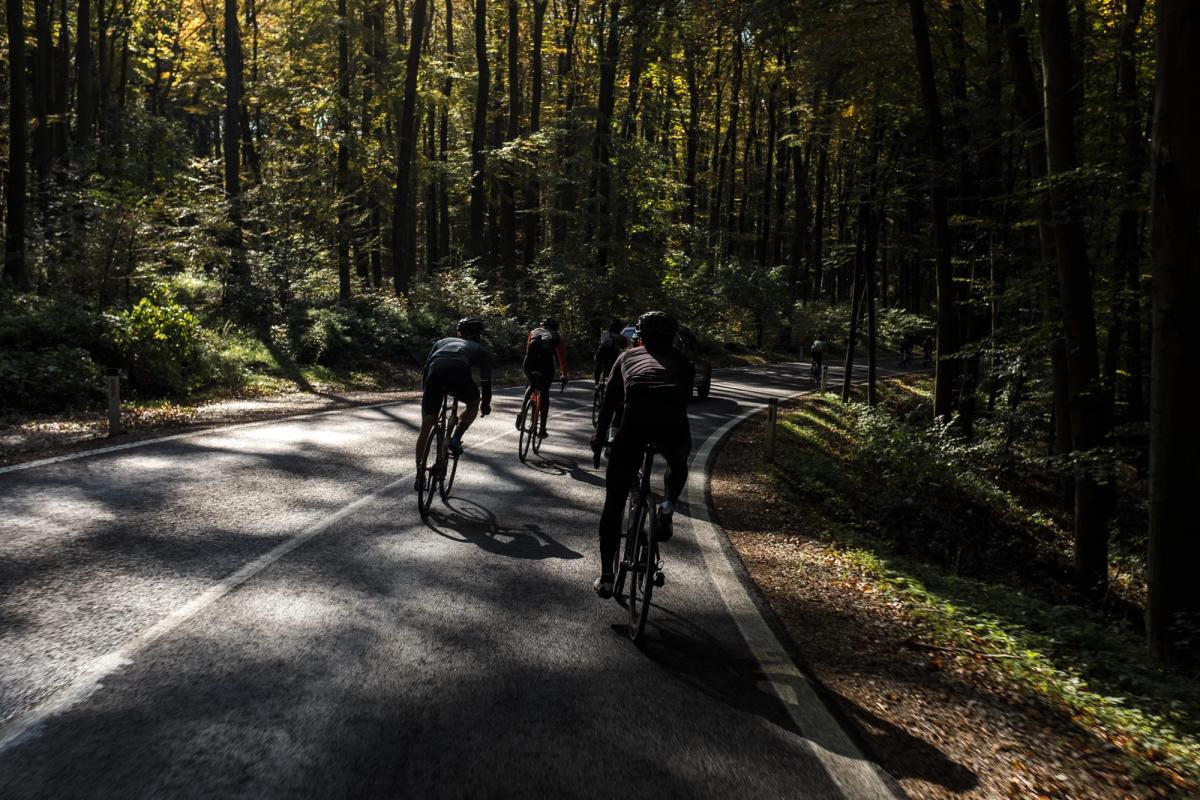 Wiener Fahrradschau