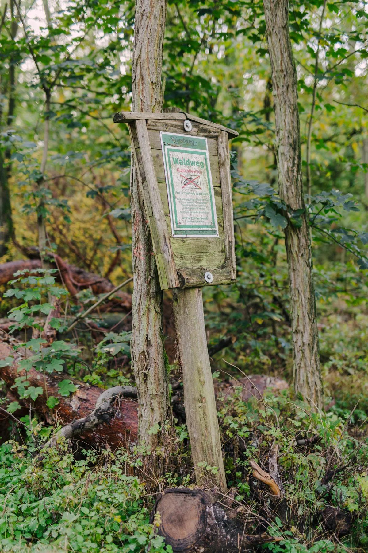 Waldweg